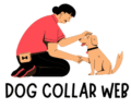 Dog Collar Web