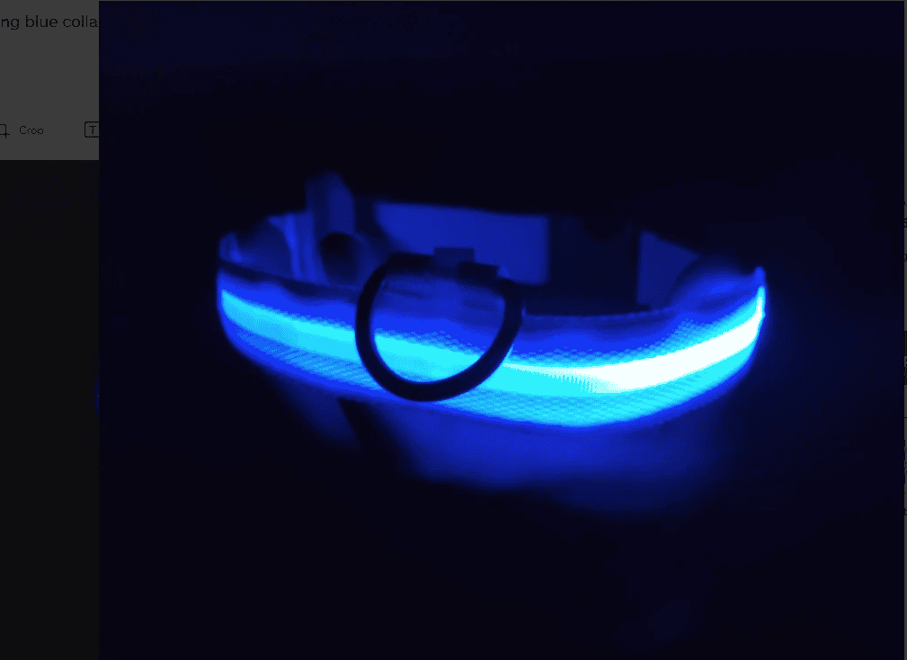 LED light-up dog collar for night safety and visibility.
